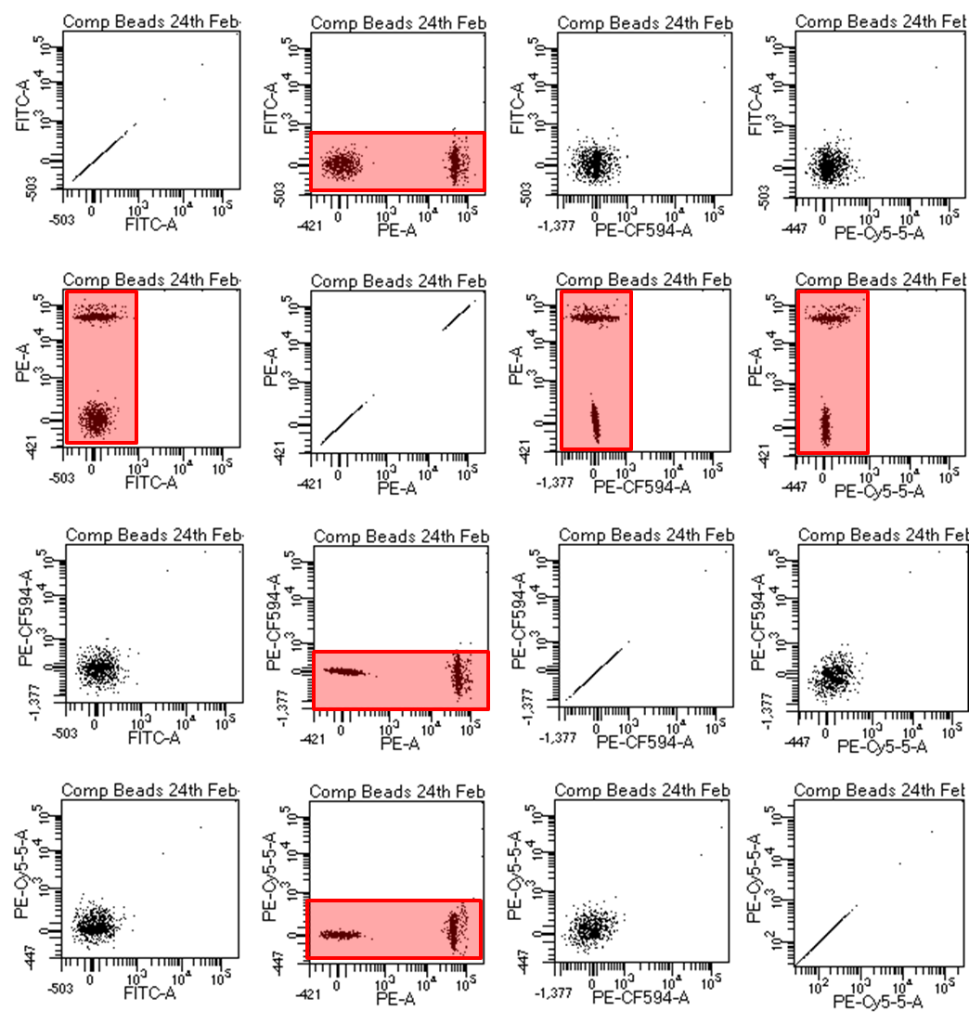 Figure 2: The so-called n x n matrix shows dotplots of all combinations of fluorophores. If you have colours 1,2,3, and 4 you can create this matrix by making the Y axes of your first column all fluorophore 1, column 2 all set to fluorophore 2, etc. Then change the X axes in row 1 to fluorophore 1, row 2 set to fluorophore 2, etc. I usually make a global worksheet called compensation for this and at any time you can see that your compensation worked. The fluorescently positive beads/cells should be exactly straight out vertically or horizontally from the unstained beads/cells and this can be verified by ensuring they have the same MFI (median fluorescence intensity) for the fluorescence parameter that you are compensating. For example if FITC spills into the PE channel and compensation is done correctly, FITC labeled beads/cells should have the same PE MFI as do unstained beads/cells.